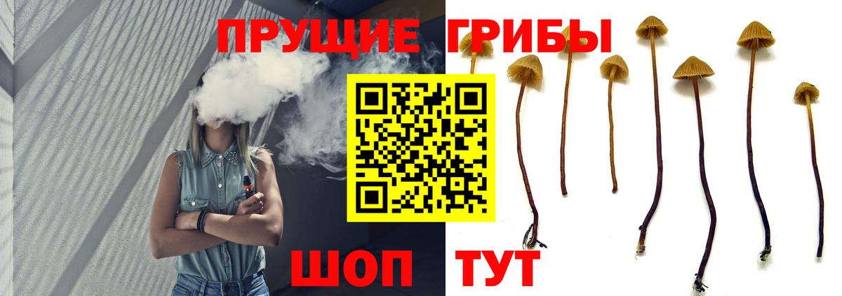 Галлюциногенные грибы мицелий  Галлюциногенные грибы ЛСД  Вход с VPN  Новокузнецк 